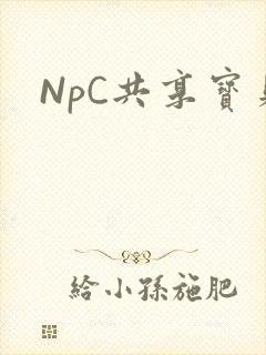NpC共享宝贝