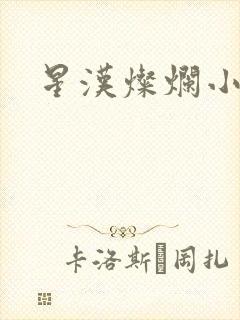 星汉灿烂小说