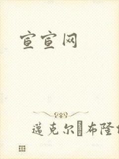 宣宣网