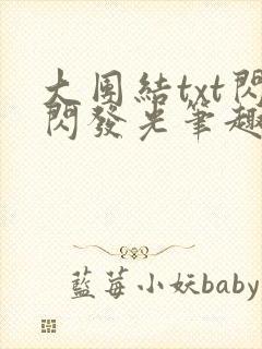 大团结txt闪闪发光笔趣阁