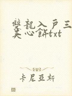 双龙入户三人行夹心饼txt