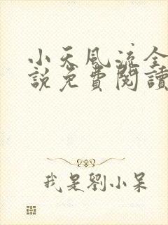 小天风流全集小说免费阅读