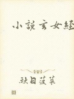 小说玄女经