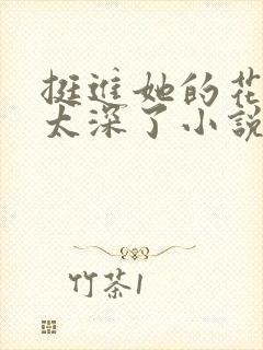 挺进她的花苞啊太深了小说