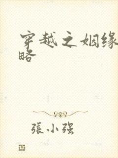 穿越之姻缘劫攻略