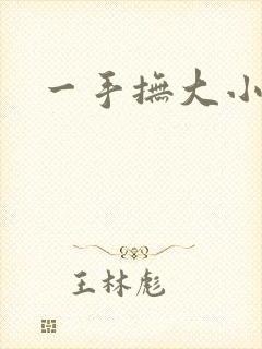 一手抚大小说