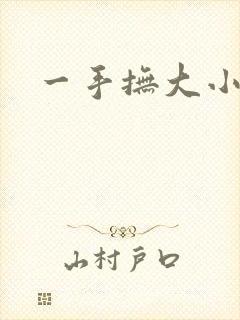 一手抚大小说