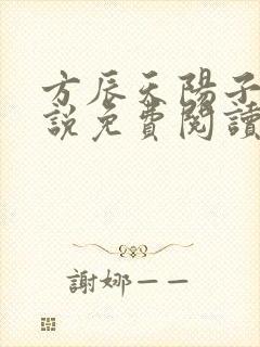 方辰天阳子的小说免费阅读