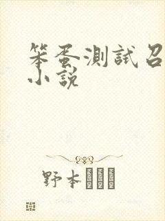 笨蛋测试召唤兽小说