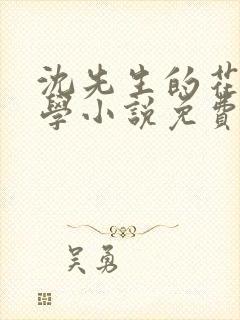 沈先生的花式教学小说免费