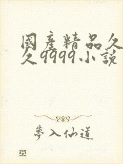 国产精品久久久久9999小说