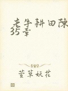 老牛耕田陈雪435章