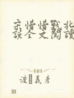 宋惜惜战北望小说全文阅读