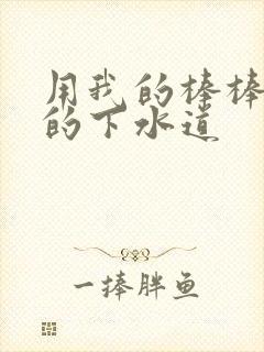 用我的棒棒通你的下水道