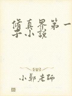 修真界第一病秧子小说