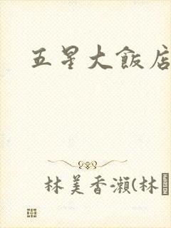 五星大饭店小说