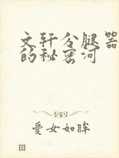 文轩分腿器河马的秘密河