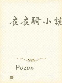 夜夜骑小说