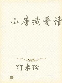 小唐璜爱情历史