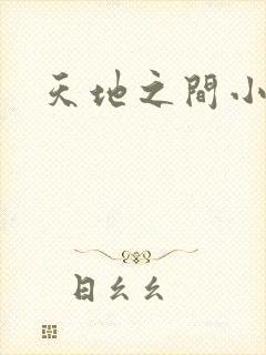 天地之间小说