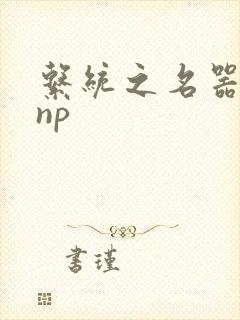 系统之名器攻略np