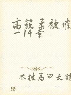 高筱柔被催眠1一14章