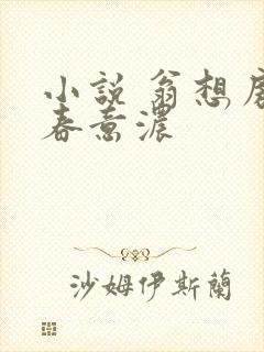 小说 翁想房中春意浓