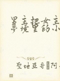 男主把女主拖进梦境里的小说