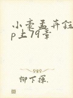 小豪孟卉钰慧三p上79章