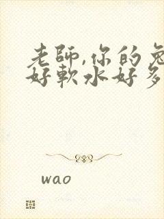 老师,你的兔子好软水好多