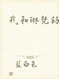我和琳梵的故事