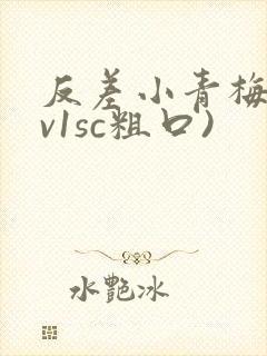 反差小青梅(1v1sc粗口)