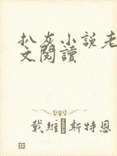 扒灰小说老马全文阅读