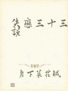 失恋三十三天小说