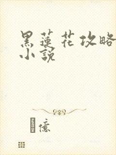 黑莲花攻略手册小说