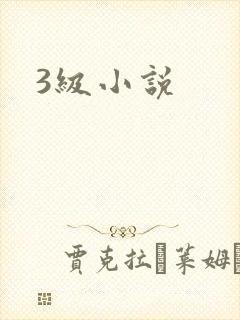 3级小说