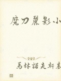 魔刀丽影小说