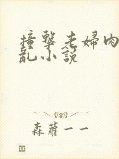 撞击老妇肉体之乱小说