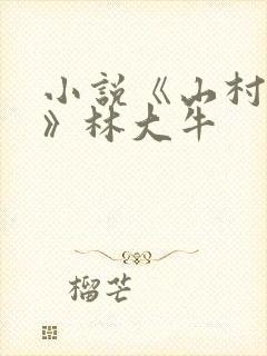 小说《山村情事》林大牛