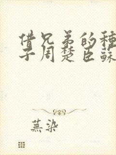 借兄弟的种生孩子周楚臣苏糖