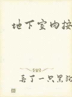 地下室肉按摩椅