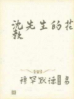 沈先生的花式管教