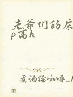 老爷们的床奴np高h