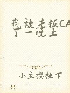 我被老板CAO了一晚上