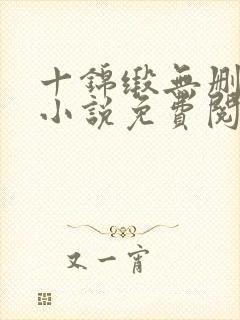 十锦缎无删原著小说免费阅读