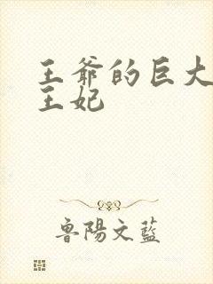 王爷的巨大进入王妃