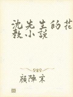 沈先生的花式调教小说