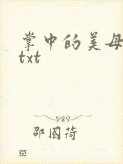 掌中的美母版主txt