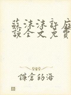 苏沫沫许庭川小说全文免费阅读