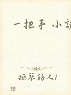 一把手 小说